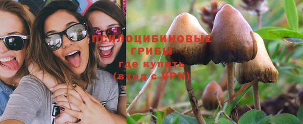 соль ск Балабаново